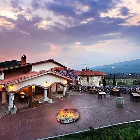 Vinifera Yedibilgeler Vineyards 3* 셀주크