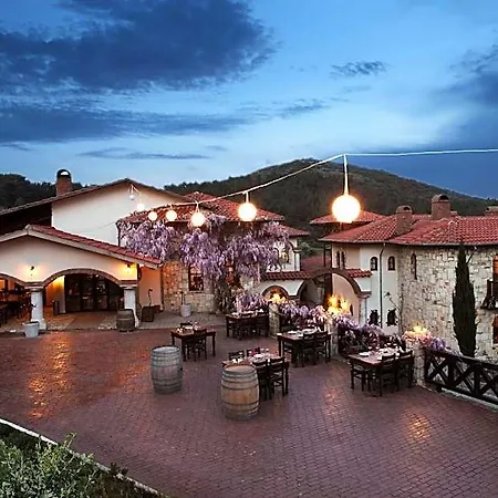 Vinifera Yedibilgeler Vineyards 셀주크