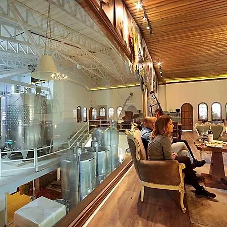Vinifera Yedibilgeler Vineyards 셀주크