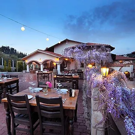 호텔 Vinifera Yedibilgeler Vineyards 3*