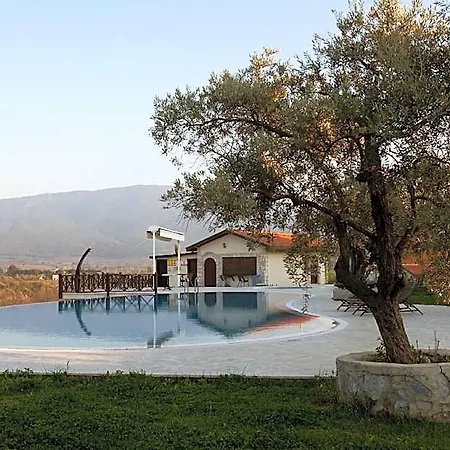 Vinifera Yedibilgeler Vineyards 셀주크
