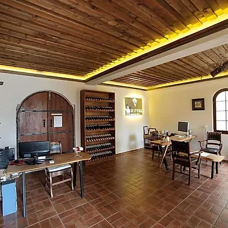 Vinifera Yedibilgeler Vineyards 3*